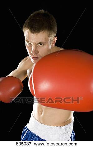 A boxer View Large Photo Image Stock Photo - A boxer. Fotosearch