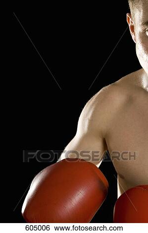 A boxer View Large Photo Image Stock Photograph - A boxer. Fotosearch