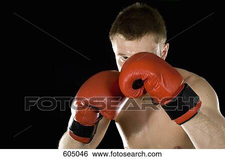 A boxer View Large Photo Image Stock Photograph - A boxer. Fotosearch