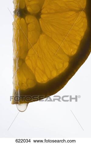 Picture - A slice of lemon. Fotosearch