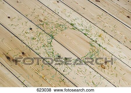 Pine needles scattered on the floor View Large Photo Image Stock Photo - Pine needles scattered on the floor. Fotosearch
