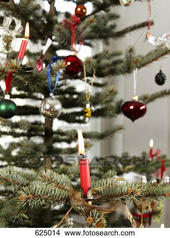 Picture - A Christmas tree. Fotosearch