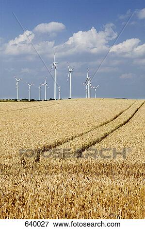 Stock Photo - Wind turbines next to a wheat field. Fotosearch