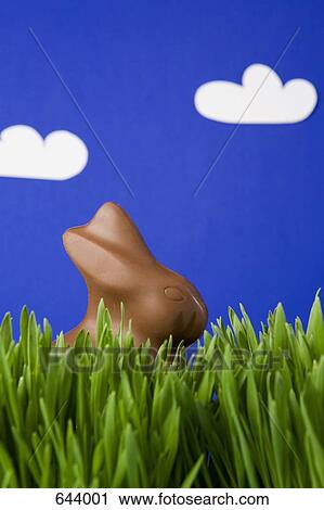 A chocolate Easter Bunny in grass View Large Photo Image Stock Image - A chocolate Easter Bunny in grass. Fotosearch