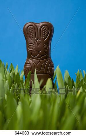 A chocolate Easter Bunny in grass View Large Photo Image Stock Image - A chocolate Easter Bunny in grass. Fotosearch