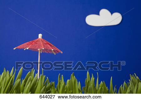 Stock Photo - A cocktail umbrella in grass. Fotosearch