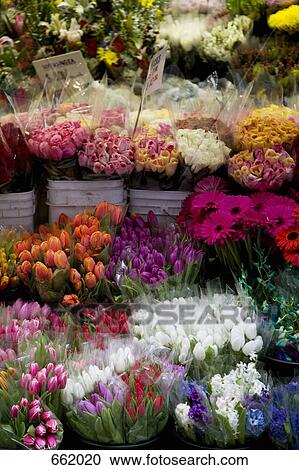 A flower stall View Large Photo Image Stock Image - A flower stall. Fotosearch