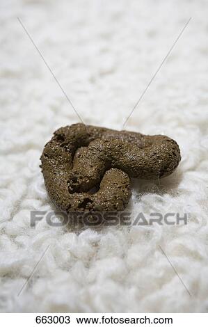 Stock Image - Fake dog poop on a white shag carpet. Fotosearch