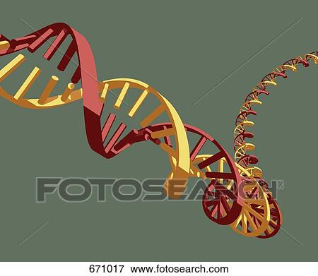 DNA strand View Large Illustration Stock Illustration - DNA strand. Fotosearch
