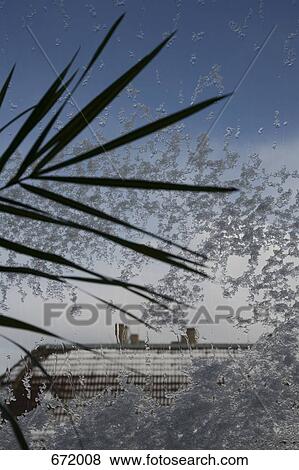 Looking through a window with frost on it and a palm plant in front View Large Photo Image Stock Photo - Looking through a window with frost on it and a palm plant in front. Fotosearch