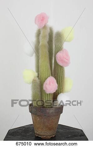 Stock Image - A cactus plant with multi colored cotton balls stuck to it. Fotosearch