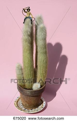 A toy cowboy riding atop a cactus plant View Large Photo Image Stock Image - A toy cowboy riding atop a cactus plant. Fotosearch