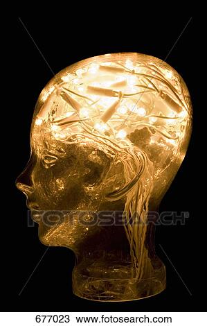 A glass head filled with a string of fairy lights View Large Photo Image Stock Image - A glass head filled with a string of fairy lights. Fotosearch