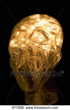 A glass head filled with a string of fairy lights View Large Photo Image Stock Photo - A glass head filled with a string of fairy lights. Fotosearch
