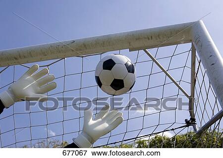 A goalie's hands reaching for a soccer ball View Large Photo Image Stock Photo - A goalie's hands reaching for a soccer ball. Fotosearch