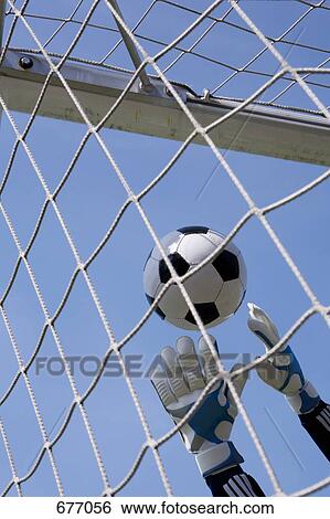 Gloved goalie's hands reaching for soccer ball View Large Photo Image Stock Photograph - Gloved goalie's hands reaching for soccer ball. Fotosearch