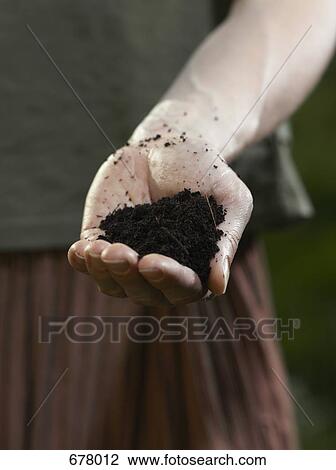 A human hand holding a pile of dirt View Large Photo Image Stock Image - A human hand holding a pile of dirt. Fotosearch