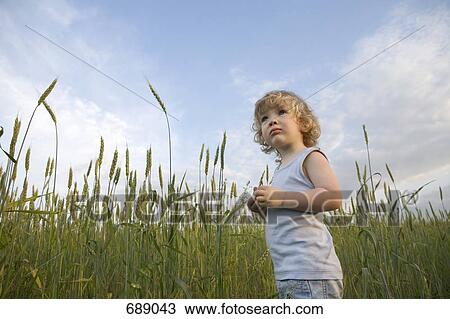 A boy standing in a wheat field View Large Photo Image Stock Image - A boy standing in a wheat field. Fotosearch