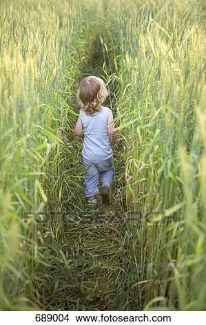 A young boy walking through a corn field View Large Photo Image Picture - A young boy walking through a corn field. Fotosearch