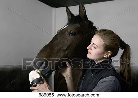 Stock Photography - A young woman grooming a horse. Fotosearch