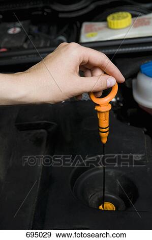 Stock Photo - A person checking the oil in a car engine. Fotosearch
