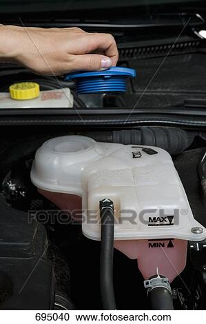 Stock Image - Checking the water in a car engine. Fotosearch
