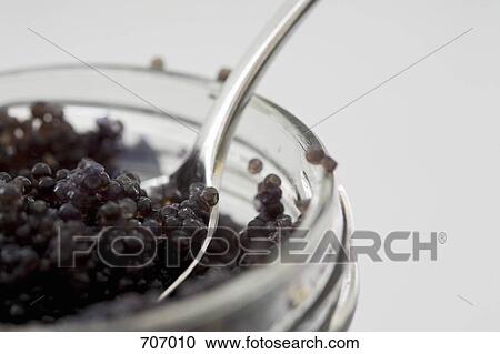 Stock Image - Caviar. Fotosearch