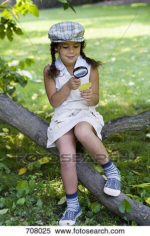 A girl sitting on a tree branch and looking at a leaf with a magnifying glass View Large Photo Image Stock Photography - A girl sitting on a tree branch and looking at a leaf with a magnifying glass. Fotosearch