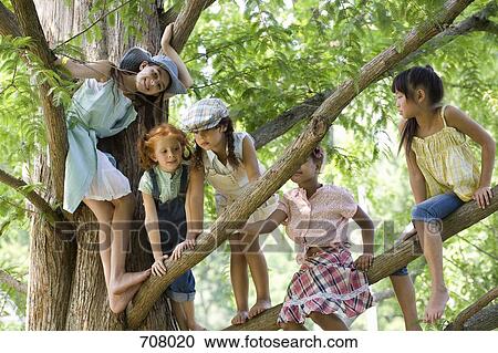 Stock Image - Five young girls in a tree. Fotosearch