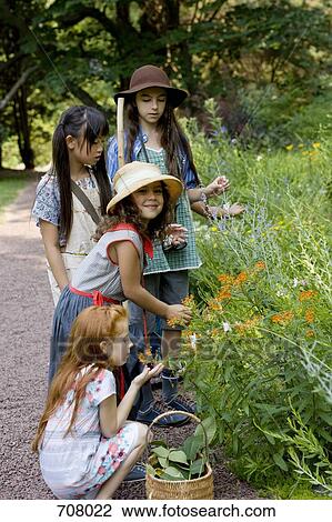 Four girls picking wildflowers View Large Photo Image Stock Image - Four girls picking wildflowers. Fotosearch