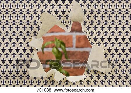 Stock Photo - Wallpaper with a hole in it and a red brick wall in the background. Fotosearch