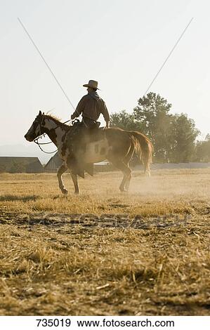 A cowboy riding a horse View Large Photo Image Stock Photo - A cowboy riding a horse. Fotosearch