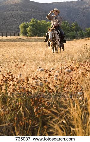 A cowboy riding a horse through a field View Large Photo Image Stock Photo - A cowboy riding a horse through a field. Fotosearch