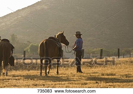 A cowboy standing in a field with horses View Large Photo Image Stock Image - A cowboy standing in a field with horses. Fotosearch
