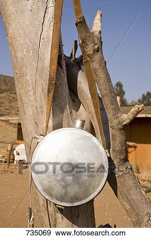A metal water container hanging from a tree View Large Photo Image Stock Photo - A metal water container hanging from a tree. Fotosearch