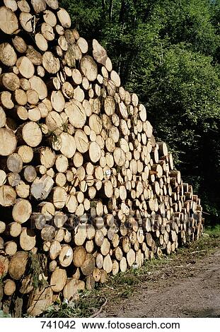 A stack of logs, Austria View Large Photo Image Stock Image - A stack of logs, Austria. Fotosearch