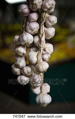 A string of garlic View Large Photo Image Stock Photo - A string of garlic. Fotosearch