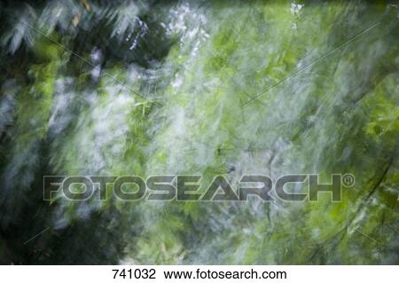 Stock Image - A thunderstorm in a garden, Winzenheim, Germany. Fotosearch
