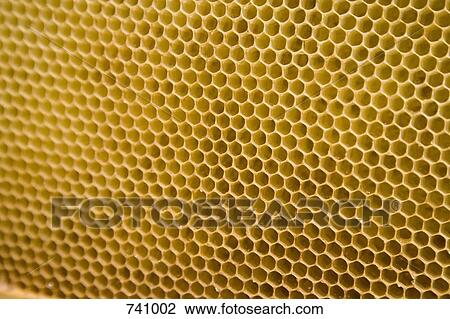 Honeycomb View Large Photo Image Stock Image - Honeycomb. Fotosearch