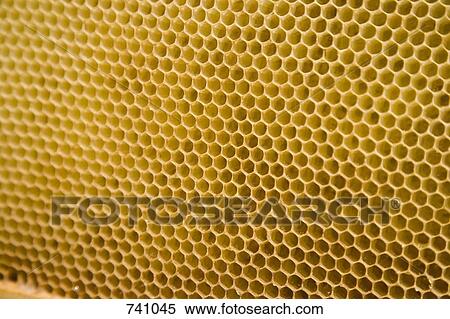 Stock Photography - Honeycomb. Fotosearch