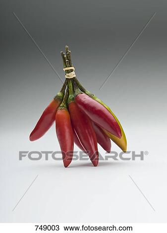 A bunch of whole fresh chilies View Large Photo Image Stock Image - A bunch of whole fresh chilies. Fotosearch