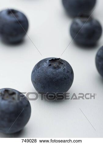 Stock Photo - Blueberries. Fotosearch