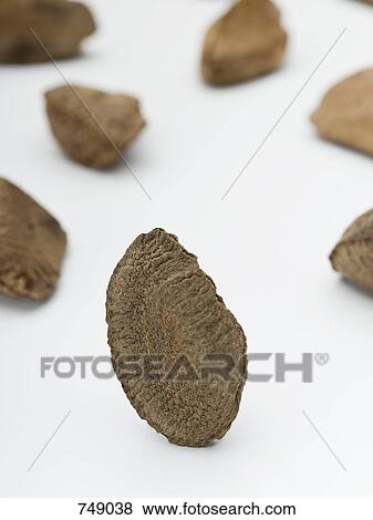 Stock Photo - Brazil nuts. Fotosearch