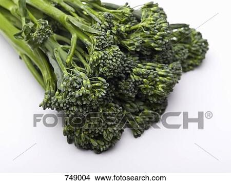 Broccolini View Large Photo Image Picture - Broccolini. Fotosearch