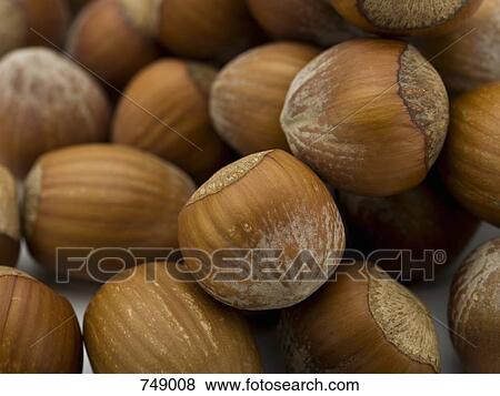 Hazelnuts View Large Photo Image Stock Photo - Hazelnuts. Fotosearch