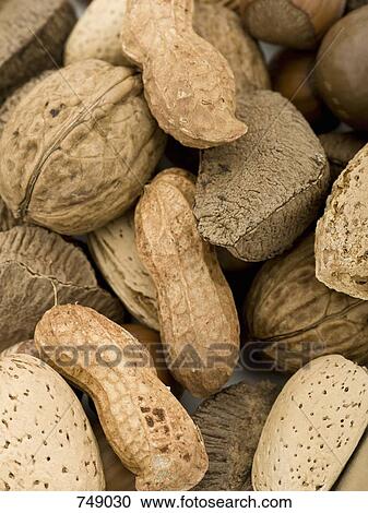 Mixed nuts View Large Photo Image Stock Image - Mixed nuts. Fotosearch
