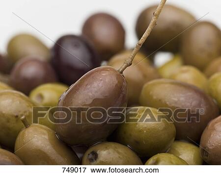Stock Photo - Olives. Fotosearch