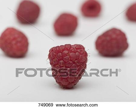 Raspberries View Large Photo Image Stock Photo - Raspberries. Fotosearch