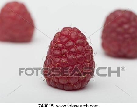 Raspberries View Large Photo Image Stock Photography - Raspberries. Fotosearch