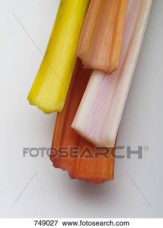 Stems of Swiss chard View Large Photo Image Stock Photo - Stems of Swiss chard. Fotosearch